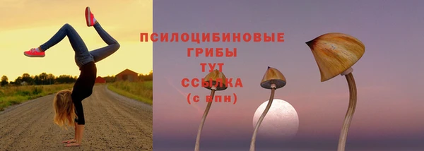 ALPHA-PVP Покровск