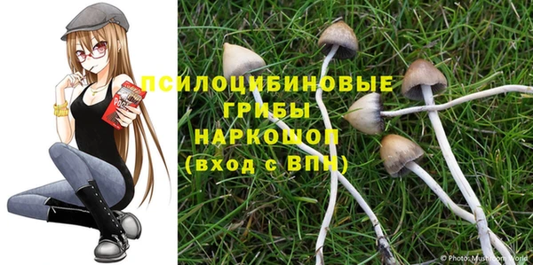 амфетамин Покачи